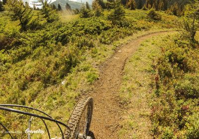  mountain bike single track